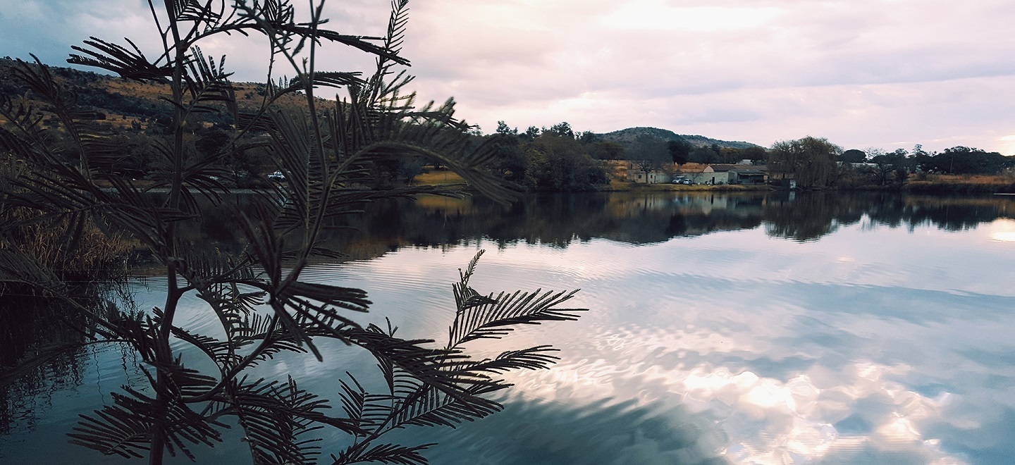 slider image 1